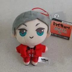 2026年最新】灰羽リエーフ ぬいの人気アイテム - メルカリ