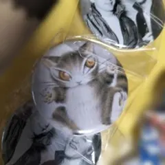 猫イラスト ピンバッジ 44mm