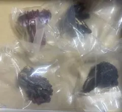 一番くじゴジラ　E賞 モンスターヘッドマグネット全4種コンプリートセット