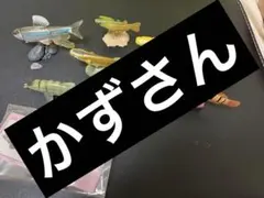 魚 まとめ売り フィギュア メダカ 海の生き物