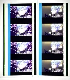 タブナイ コマフィルマム 美風藍