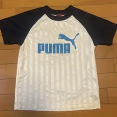PUMA ストライプ Tシャツ 140cm