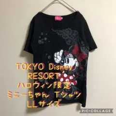 大特価】Disney RESORT ディズニーハロウィン ミニーちゃん Tシャツ