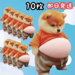 おなかシール 柴犬 立体シール 3D おへそ 犬 ぷくぷくシール スクイーズ
