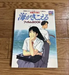 スタジオジブリ 海がきこえる 武藤里伽子 セル画 額装済み 非売品 本物