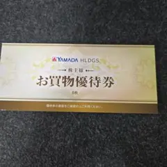 ヤマダ電機　お買物優待券 6枚