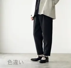 evam eva / wool tuck pants stone gray