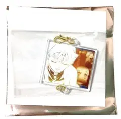 鬼滅の刃【隊士百景 絆アクリルチャーム１５】竈門禰豆子 我妻善逸