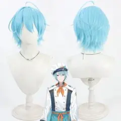 渚トラウト 新衣装 コスプレ ウィッグ - メルカリ