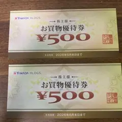 ヤマダ電機 お買物優待券 1,000円分（¥500×2枚）