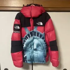THE NORTH FACE supreme 自由の女神 ダウンジャケット - メルカリ
