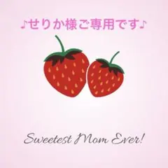 ♪せりか様ご専用です♪