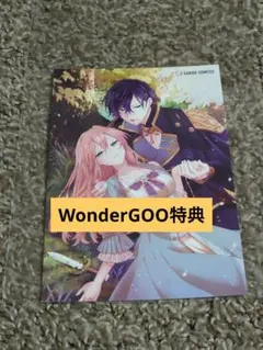 【特典】　ループ７回目の悪役令嬢は、元敵国で自由気ままな花嫁生活を満喫する　8