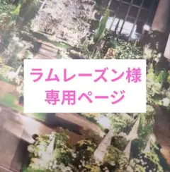 ラムレーズン様 リクエスト 2点 まとめ商品