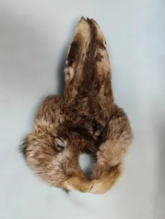 Item thumbnail for item 6a0f026c-e4de-40fd-b527-f59a40e9d5cf