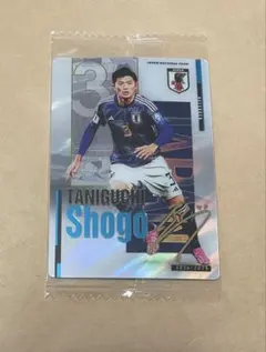 川崎フロンターレ マッチデープログラムタペストリー谷口彰悟選手のサイン入り 61sQIWE7TXL._UF350,350_QL50_.jpg