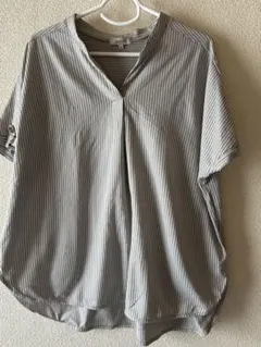 hareiro ストライプ柄 半袖ブラウス 4L