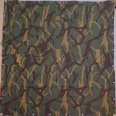 Item thumbnail for item 00522f61-af27-4bc3-bf1a-b73b300ae3ae