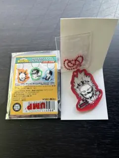 ヒロアカ 切島鋭児郎 アクリルマットチャームコレクション