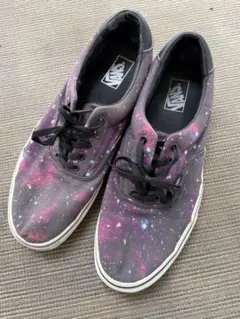 サイズ31㎝　US13 vans ERA
