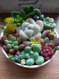 よこリン様 リクエスト 2点 まとめ商品