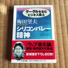 初版本 シリコンバレー精神 : グーグルを生むビジネス風土