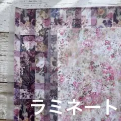 リバティ　ラミネート生地　大判はぎれ２枚セット⑨
