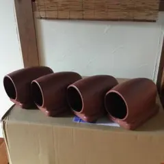 スターポリプたこつぼ