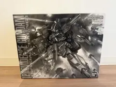 MG プロヴィデンスガンダム スペシャルコーティング