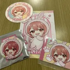 カラフルピーチ　東武動物公園　イルミネーション　　　後半グッツ　のあ　4点