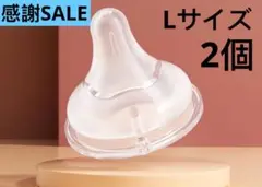 ピジョン母乳実感哺乳瓶用 乳首 互換性 Lサイズ