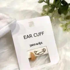 Item thumbnail for item 4f42bc1a-17c6-42f1-93e9-4eb1c837112f