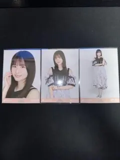 乃木坂46 生写真 コンプ 菅原咲月 Same numbers