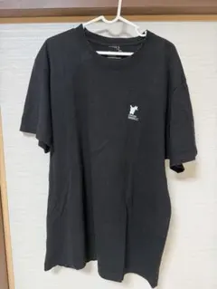 Thunderbolt project by FRGMT&pokemon teeのサムネイル