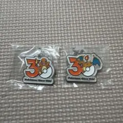 ポケモン 30周年 メタルチャーム ヒトカゲ リザードン 2種セット