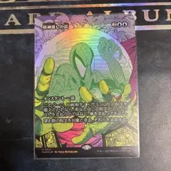 呪詛の壊し屋 foil - メルカリ