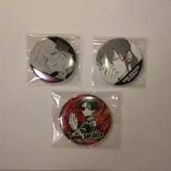 WIND BREAKER ウィンブレ 蘇枋隼飛 桐生三輝 水木聡久 缶バッジ