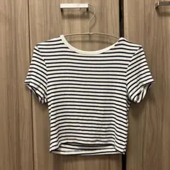 [残り1日]ZARA ミニTシャツ ストライプ クロップドTシャツ 半袖