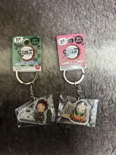 鬼滅の刃 ご当地キーホルダー 竈門炭治郎 禰豆子 東海 滋賀 限定 セット