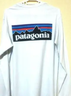patagonia ロングスリーブ Tシャツ L-XLサイズ