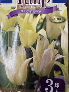 awe様 リクエスト 2点 まとめ商品