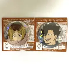 ハイキュー One Fine Day! ホログラム缶バッジ 音駒2点