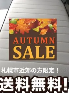 札幌市近郊の方限定！送料無料！ニトリ Nスリープ ハード H1-02 セミダブル