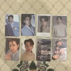 SEVENTEEN セブチ INCOMPLETE トレカ ウォヌ