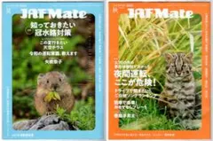 Item thumbnail for item 017577b8-7540-4402-8d5b-5ee3264eb4a3