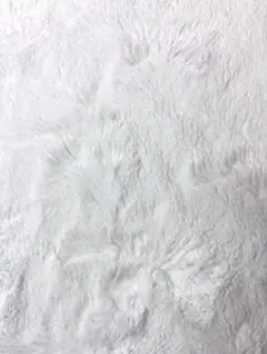 ベルボア ホワイト