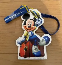 バケーションパッケージ　パスケース　ミッキー