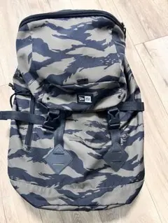 Item thumbnail for item f1dddc3f-76af-482d-8c4f-4f43b38c4b1e