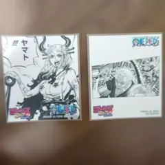 ジャンプフェア　2021 ミニ色紙 ワンピース　ヤマト、ゾロ