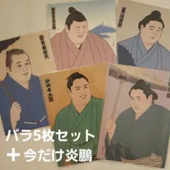 【バラ】大相撲　絵葉書セット　安青錦　熱海富士　藤ノ川　一山本　若隆景　+ 炎鵬